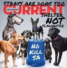 Going to the vet repeatedly over several months for vaccinations, and then for boosters or often animal shelters charge less for vaccines — approximately $20 — or are even free. As City Reaches No Kill Free Roaming Dogs Still Trouble Neighborhoods News Etc San Antonio San Antonio Current