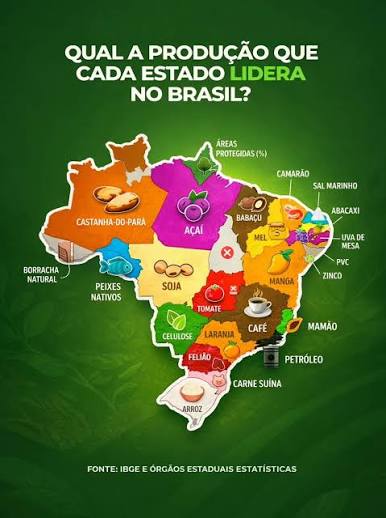 Mapa ilustrativo representando a diversidade econômica das regiões do Brasil.
