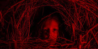 It's absolutely worth checking out. Review Netflix S A Classic Horror Story Loses Itself In Borrowed Plot And Tropes Bloody Disgusting