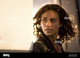 Robert zuckerman hi-res stock photography and images