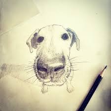 Perspective Dog My Drawings Drawings Animal Tattoo