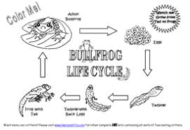 These alphabet coloring sheets will help little ones identify uppercase and lowercase versions of each letter. Free Frog Coloring Pages To Print Out And Color