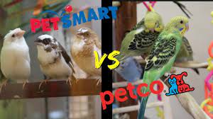 Check spelling or type a new query. Petsmart Vs Petco Who Has Better Bird Care Youtube