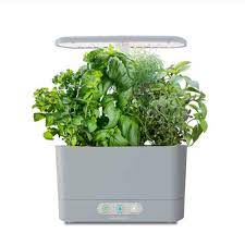 Aerogarden Harvest Review From Setup To Herbs In 1 Month Gourmet Herbs Herb Seeds Herbs Indoors