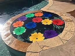 Check spelling or type a new query. Amazon Com Solar Pool Flower Rainbow Pgk Of 12 Patio Lawn Garden