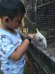 Apabila sebut sahaja mengenai pulau pinang pastinya teringat, jambatan pulau pinang (penang bridge) ataupun bangunan komtar yang menjadi ikon bagi negeri yang digelar pulau mutiara. Jalan Jalan Taman Burung Seberang Jaya