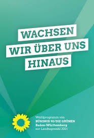 Februar 2021, 06:50 uhr • heidenheim von karin fuchs. Landtagswahl 2021 Alexander Salomon Grune Fur Karlsruhe