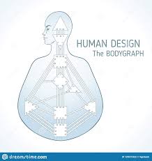 Human Design Bodygraph Chart Design Vector Illustratio