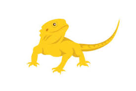 Download Bearded Dragon Svg Cut Files Free Svg Cut Files Lovesvg Com SVG Cut Files