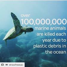 Join The Movement And Help Stop Plastic Waste From Destroying Our Environment Your Fellow Inhabitants Of Earth Will Thank You An Estimated 8 Million