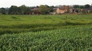 Amble Around The Village And Uncover The Fate Of Coleshill House And The Secret Wwii Resistance Oxtrails Oxhistory A Field Outdoor Estates Countryside