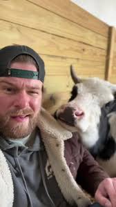 Sweet Mabel #cows #farmlife #michigan