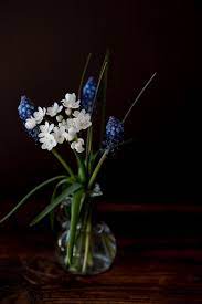 Search 123rf with an image instead of text. Vase Flowers White Blue Tender Beautiful Small Flowers Flower Vase Still Life Close Up Pxfuel