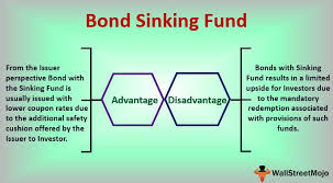 bond sinking fund on balance sheet
