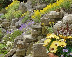Steingarten Anlegen Und Gestalten Mein Schoner Garten