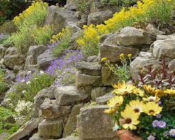 Was ist ein garten mit steinen? Steingarten Anlegen Und Gestalten Mein Schoner Garten