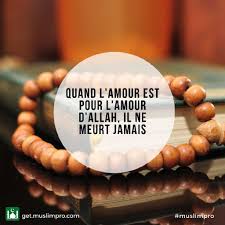 Citation Du Jour Sur Muslimpro Http Www Muslimpro Com Inspiration Fhjs3trdin8dzmh2qvlg In 2020 Allah Sake Quran Verses