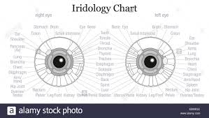 veracious iridology iris chart 2019