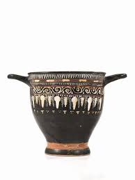 Image result for Dignathia