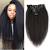 Natural Afro Kinky Curly Hair