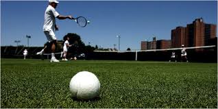 I have a couple of friends who have looked into building backyard courts. Grass Tennis Courts Notebook The New York Times
