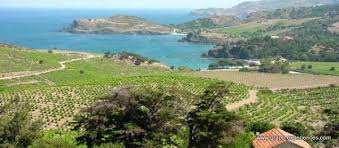 Wines of Roussillon