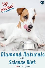 Jul 04, 2021 · diamond naturals take a holistic approach to crafting dog food, aiming to meet every pet's needs with the use of proprietary probiotics and the inclusion of superfoods. Diamond Naturals Vs Science Diet Which Dog Food Is Better Science Diet Science Diet Dog Food Dog Nutrition