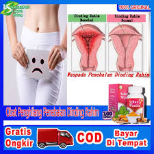 Berbahayakah bila hal tersebut terjadi dok ? Obat Penghilang Penebalan Dinding Rahim Mengempeskan Penebalan Dinding Vagina Dinding Rahim Tebal Mengatasi Penyakit Adenomiosis Hiperplasia Endometrium Pendarahan Dari Vagina Obati Dengan Sehat Wanita Original Lazada Indonesia