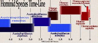 43 Expert Chart Human Evolution