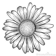 Black And White Daisy Flower Tattoo Dessin Marguerite Daisy Drawing Daisy Flower Tattoos Daisy Tattoo