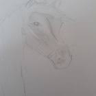 Hausdetailansicht Haus Luxushaus Fassadengestaltung