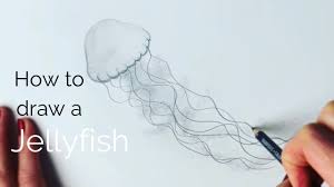 We did not find results for: Beginners How To Draw A Jellyfish Youtube