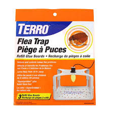 Terro Flea Trap Refill Glue Boards 3 Pack T231 Terro Com