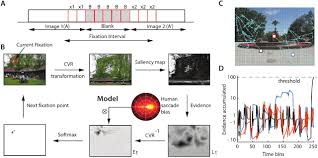 As you prepare to set your clocks ahead one hour, remember to check the batteries in your carbon monoxide (co) detector. Neurally Constrained Modeling Of Human Gaze Strategies In A Change Blindness Task Biorxiv