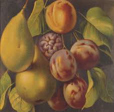 Sin título – De la serie Frutos del país Malba