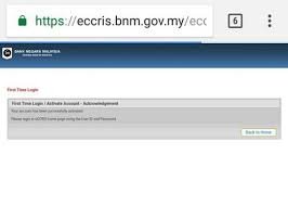 Klik enquiry kat tab atas tu dan pilih self enquiry. 14 Langkah Mudah Semak Laporan Kredit Dengan Eccris