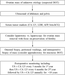 An overview of ovarian cancer including aetiology, clinical features, investigations, staging and management. Diagnosis Surgical Treatment And Management Of Borderline Ovarian Surface Epithelial Neoplasms Report Of 2 Cases And Review Of Literature Sciencedirect