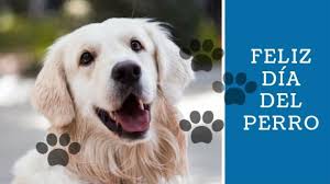 Esto cuesta comprar un lomito de. Feliz Dia Del Perro Frases Celebres E Imagenes Union Guanajuato