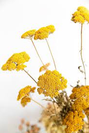 Collection Feu Bijoux En Pierre Semi Precieuse Visitez La Boutique De Bijoux En Pierre Naturelle Https Zemaria Dried Flowers Flowers Wildflower Bouquet
