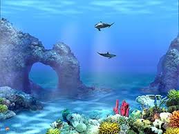 It displays all your pictures within that folder as screensaver. 3d Desktop That Moves And Sounds Alive Download Living 3d Dolphin Screensaver Underwater Wallpaper Free Animated Wallpaper Screen Savers