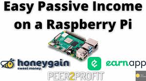 Easy Passive Income on a Raspberry Pi - Honeygain/Peer2Profit/Earn2App -  YouTube