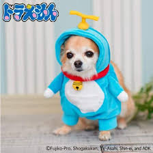 Amazon.co.jp: Doraemon Ikiri Dog Size 2 : Pet Supplies