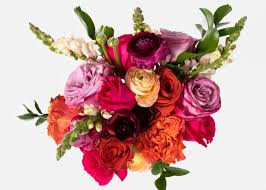 We did not find results for: Double The Carnivale Send Flower Bouquets Urbanstems Flower Delivery