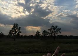 Check spelling or type a new query. Good Life Rv Park Bartow Florida Us Parkadvisor