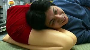 Image result for lap pillow