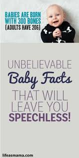 Pin On Baby On Board