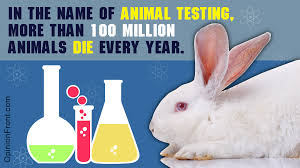 Cosmetics and personal care products companies are committed to eliminating animal testing whenever possible, while also ensuring the safety of the products consumers use and trust every day. The Ugly Secrets Of Animal Testing In The Cosmetic Industry Opinion Front