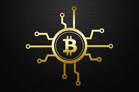 Gbtc) (gbtc or the fund), today commented on. Vaneck Solidx File Plans For Bitcoin Trust Etf