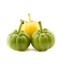 Die in der frucht enthaltene hydroxyzitronensäure kurbelt . Garcinia Gummi Gutta Garcinia Cambogia Seeds Cena 9 00