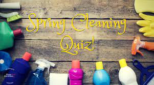 Find out in our quiz! Quiz What S Your Spring Cleaning Personality Hupy And Abraham S C
